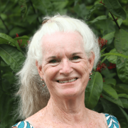 Lighthouse Primary Teacher